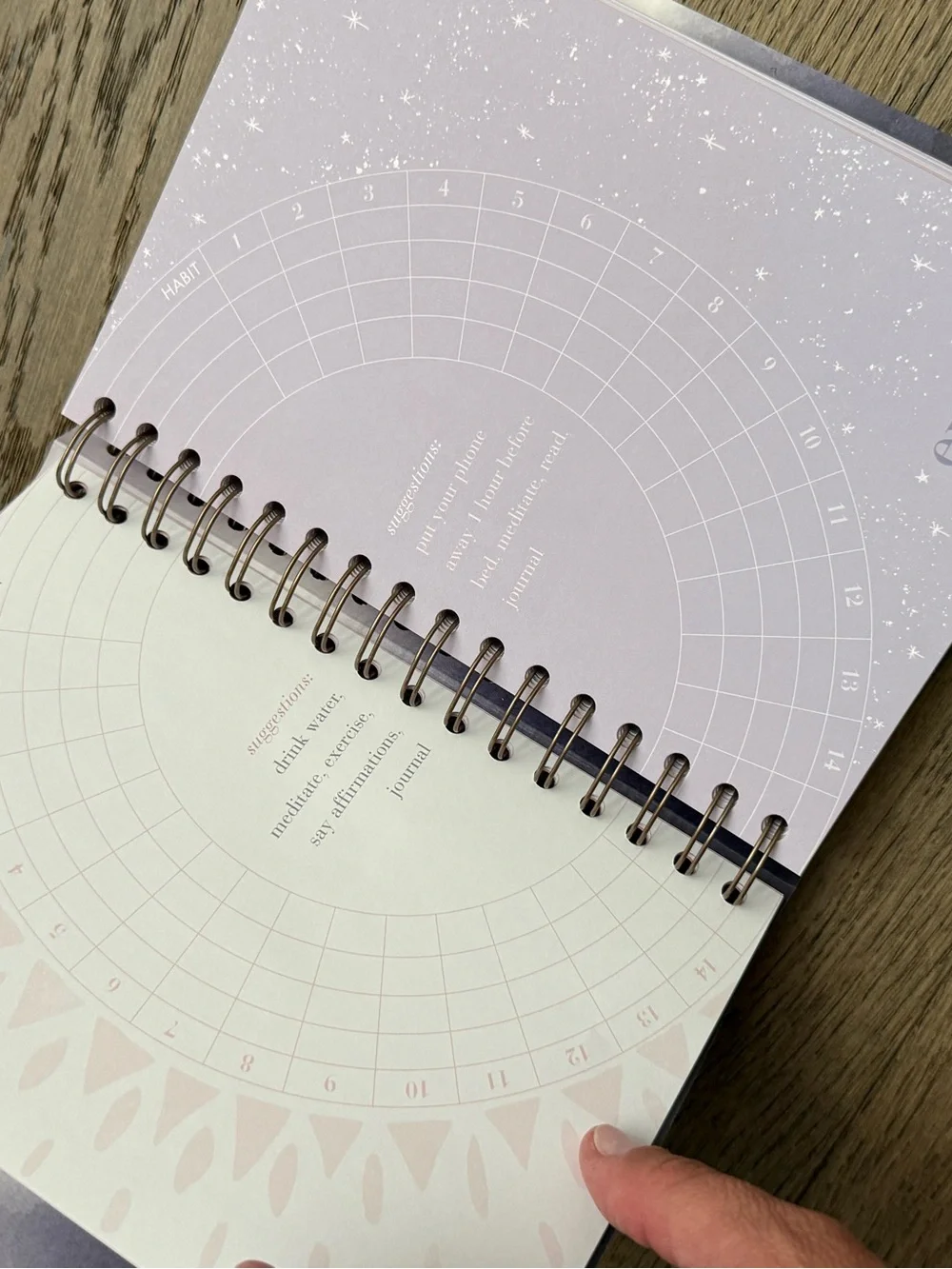 The Happy Planner, medical history and journal, Guided Journal- set of 3